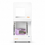 Up3d p53